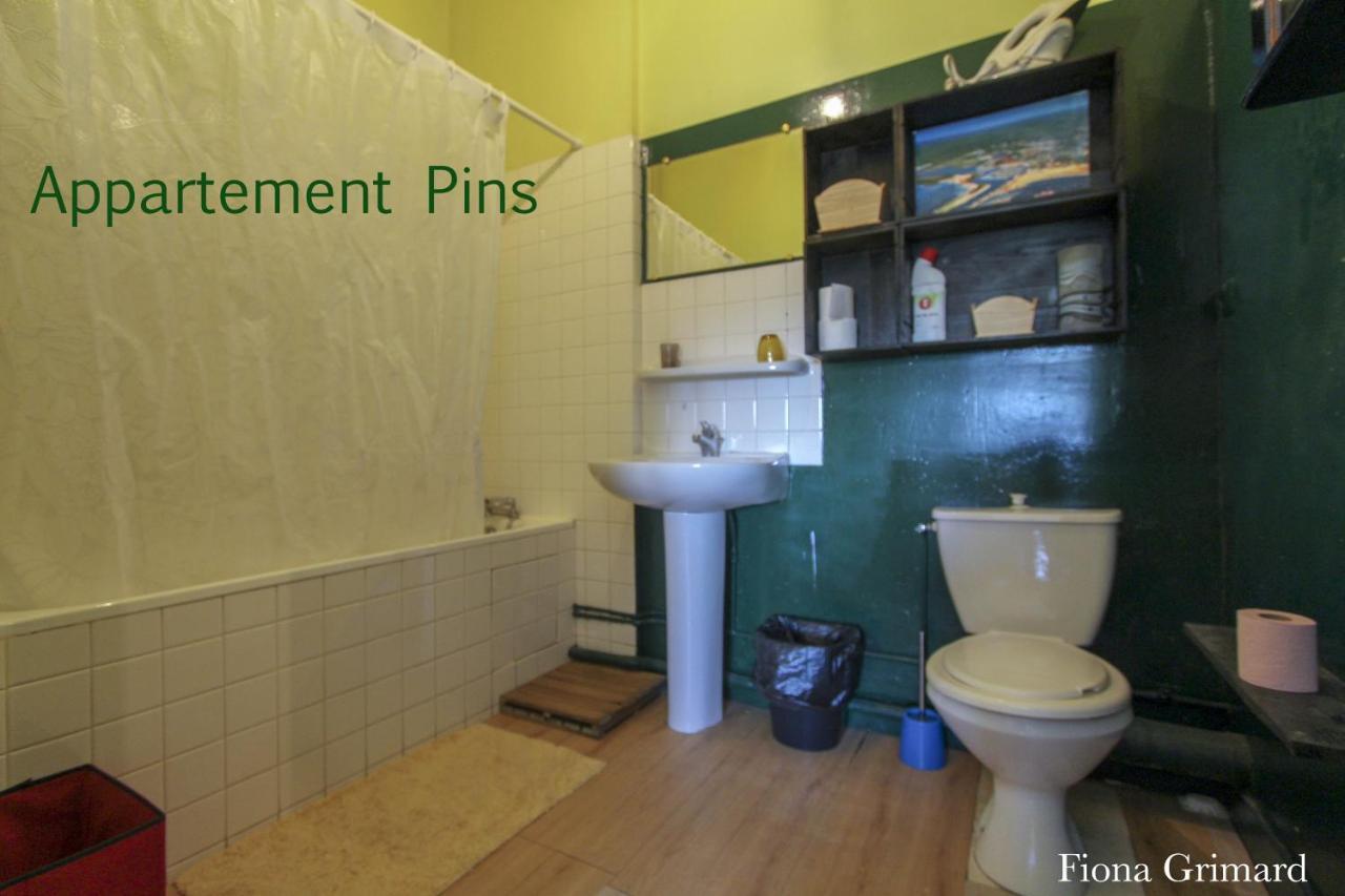 Appartements tourisme meublés Com'in Médoc Lesparre-Médoc Extérieur photo